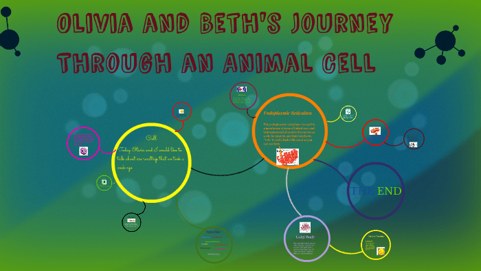 Journey Through an Animal Cell by Beth Koele on Prezi