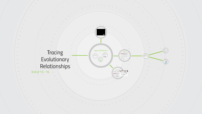Tracing Evolutionary Relationships By Melissa Bailey On Prezi