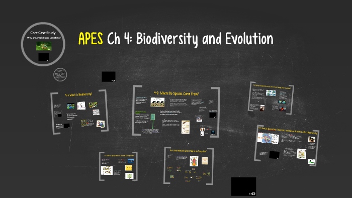 Apes Ch 4 Biodiversity And Evolution By On Prezi Apes Ch 4 Biodiversity And Evolution By On Prezi