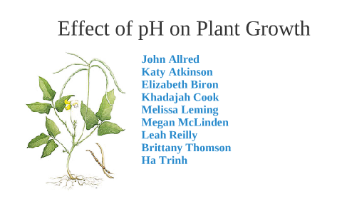 ph effect on plant growth experiment