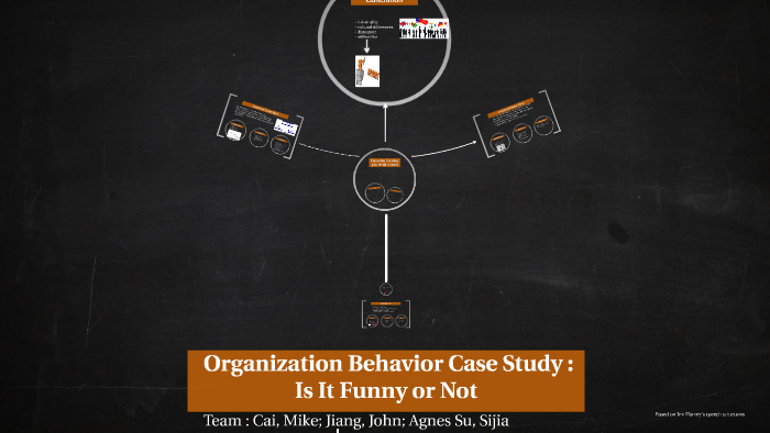 organization behaviour case study
