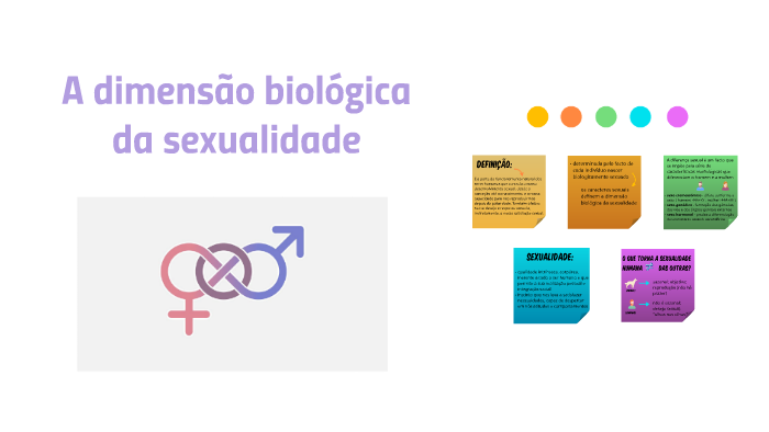 A Dimensão Biológica Da Sexualidade By Matilde Costa 4222