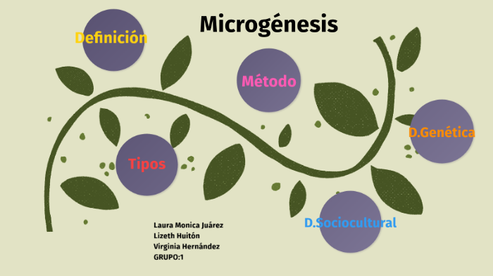 microgenesis by Lizeth Huitron on Prezi