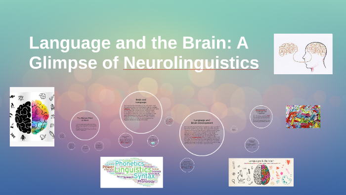 Language and the Brain: A Glimpse of Neurolinguistics by Liliana Mata ...