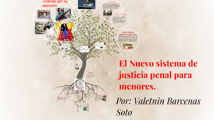 El Nuevo sistema de justicia penal para menores. by Valentin Barcenas ...