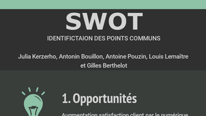 SwoT by gil berth on Prezi Design