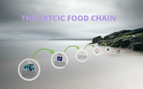 FOOD CHAIN IN THE ARTIC OCEAN by Arun Gnanachchenthan on Prezi