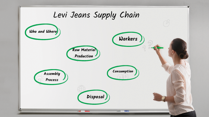 levi's supply chain case study