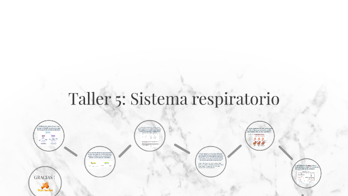 Taller 5 Sistema Respiratorioi By Fernanda Serrano On Prezi