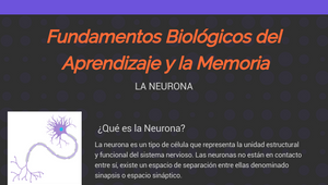 Fundamentos Biológicos Del Aprendizaje Y La Memoria By Jenny Bermeo On ...