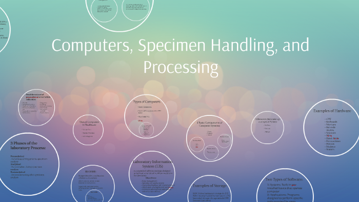 Computers, Specimen Handling, And Processing By Courtney Puckett