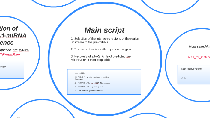 Main script by ladies croquetas on Prezi