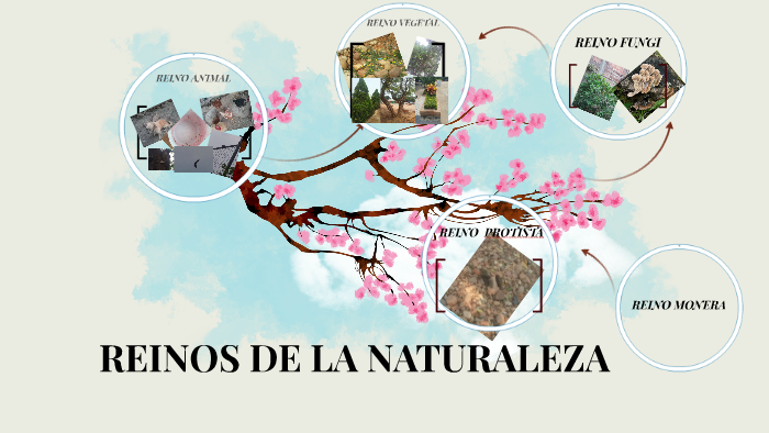 REINOS DE LA NATURALEZA by jeiny sarina jimenez estevez on Prezi