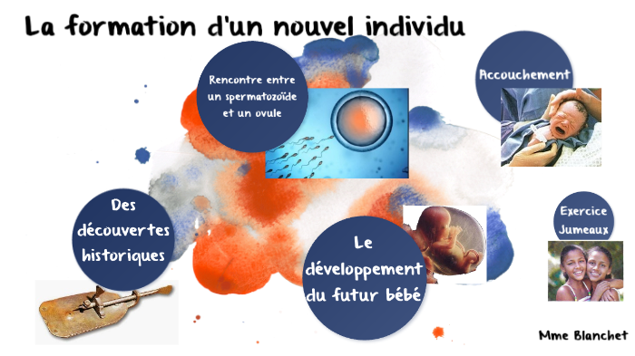 La Formation Dun Nouvel Individu By Aurélie Blanchet On Prezi 