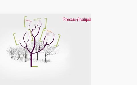 Process Analysis by Holly Holland on Prezi