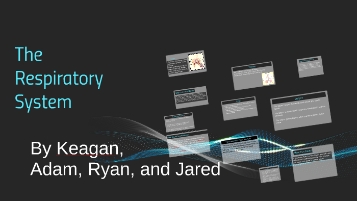 The Respiratory System by Keagan Goforth on Prezi