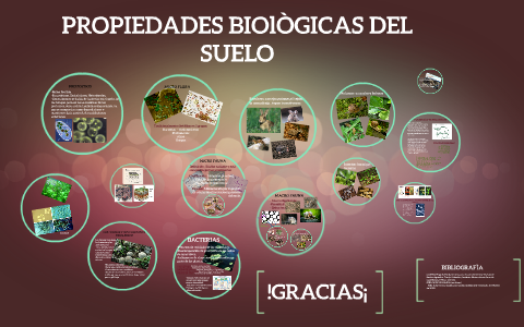 PROPIEDADES BIOLOGICAS DEL SUELO By Julieth Steffany Trujillo Rivera On ...