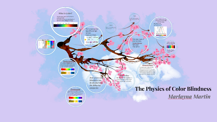 Physics Of Color Blindness By Marlayna Martin On Prezi 1481