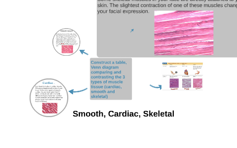 Skeletal Smooth And Cardiac Muscle Comparison Chart