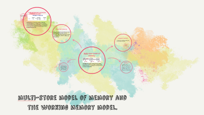 multi-store model of memory and the working memory model. by Maria ...