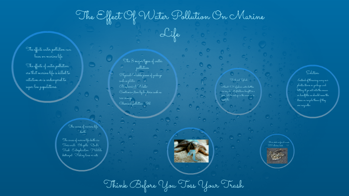 The Effect Of Water Pollution On Marine Life by Anna Vazquez on Prezi