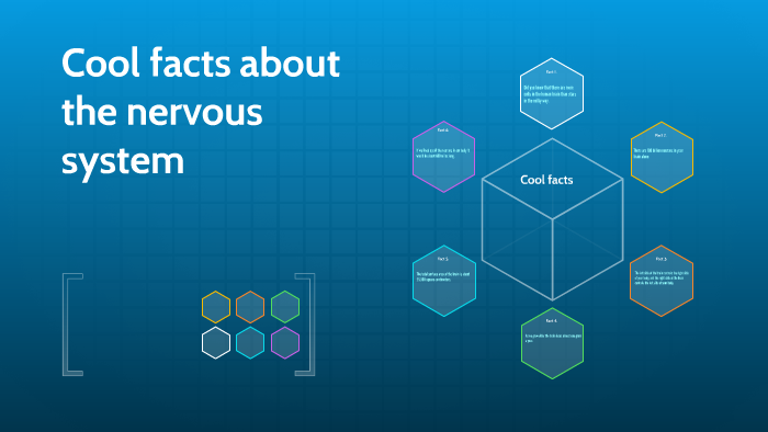 Cool facts about the nervous system by dylan demille on Prezi