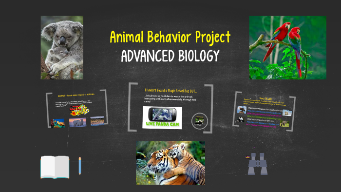 Animal Behavior Assignment: ADVANCED BIOLOGY by Lisa Ball