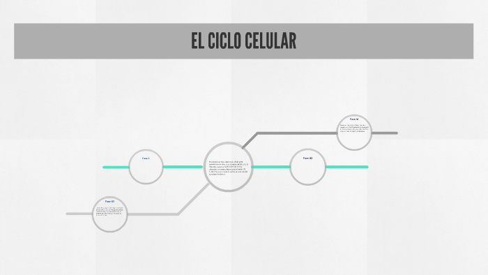 EL CICLO CELULAR by Mario Pérez Rosas on Prezi
