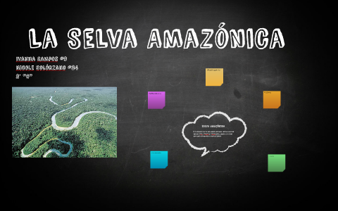 La Selva amazónica by Nicole Solórzano on Prezi