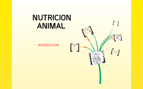 Introducción a la Nutrición Animal by Kris Herrera on Prezi Next