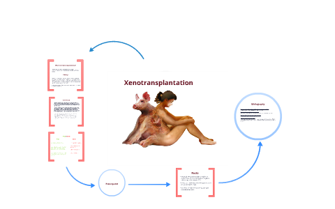 xenotransplantation prezi