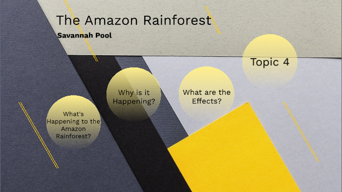 The Amazon Rainforest by Savannah Pool on Prezi