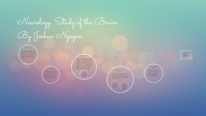 neurology-study-of-the-brain-by-joshua-nguyen