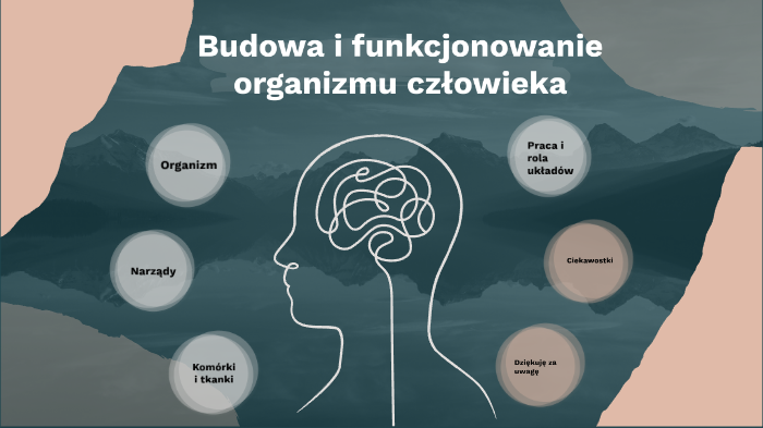 Budowa i funkcjonowanie organizmu człowieka by Nat 5 on Prezi