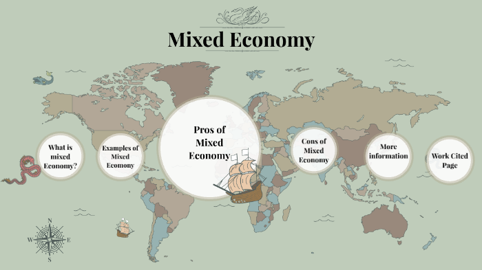 characteristics of mixed economy