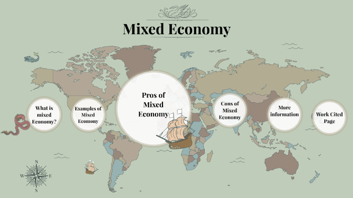 Mixed Economy by Joya Sarker