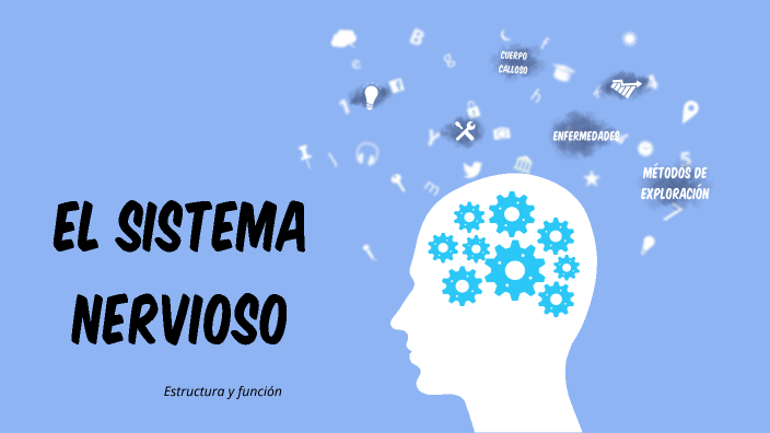 EL SISTEMA NERVIOSO. Estructura y función by Psicólogos Mamadísimos on ...