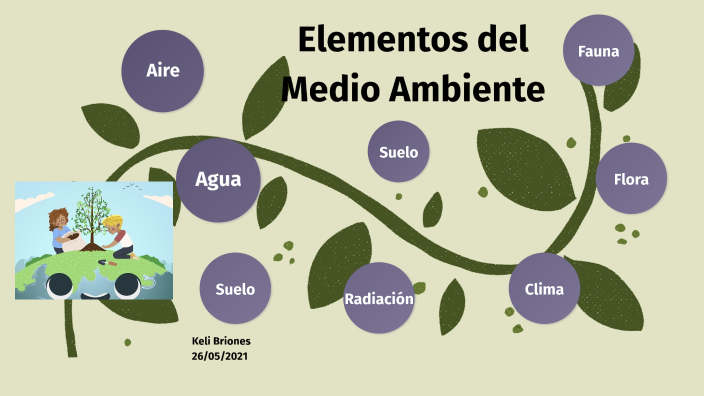 Elementos Del Medio Ambiente By Keli Briones Paredes 8201