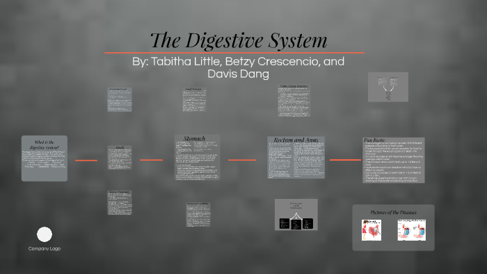 The Digestive System by Tabby Little on Prezi