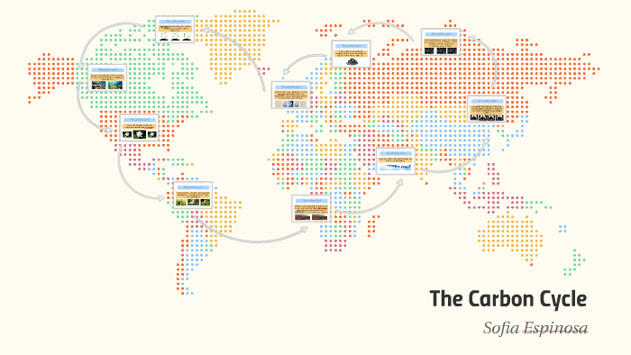 The Carbon Cycle by Sofia Espinosa on Prezi