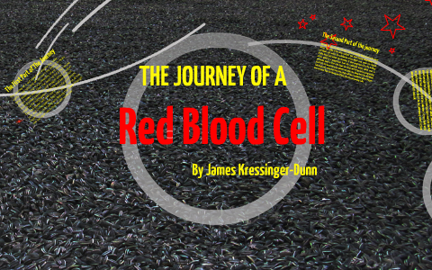 The Journey of a Red Blood Cell by James K-D on Prezi