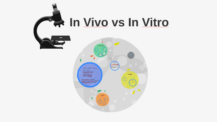 In vitro и in vivo