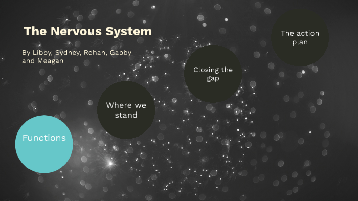 The Nervous System by on Prezi