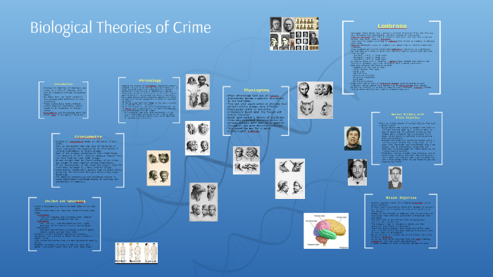 theoretical-criminology-three-theoretical-explanations-of-crime-caustion