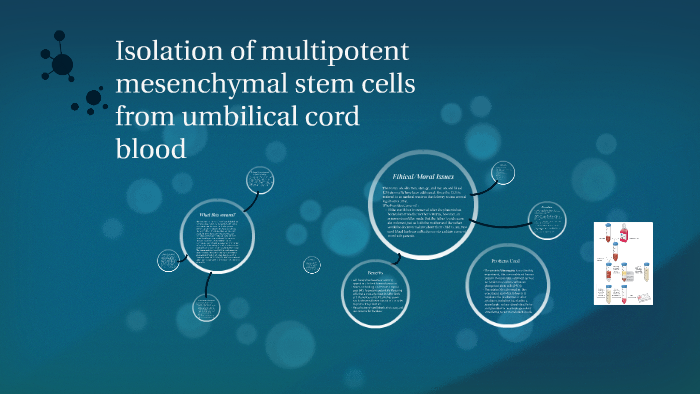 Isolation of multipotent mesenchymal stem cells from umbilical cord ...