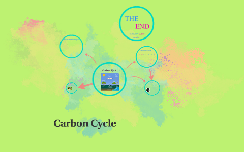 Carbon Cycle by hailey smith on Prezi