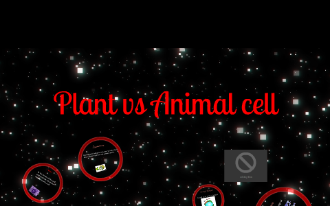 animal and plant cell project by Jacob Peterson on Prezi