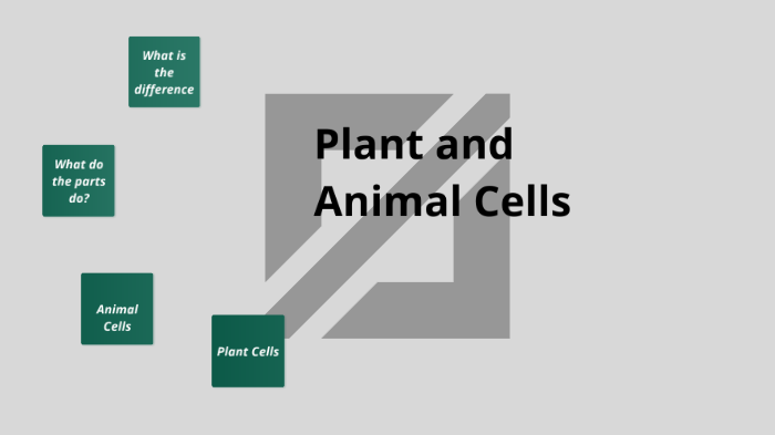 Plant and Animal Cells by Dariana Holmes on Prezi