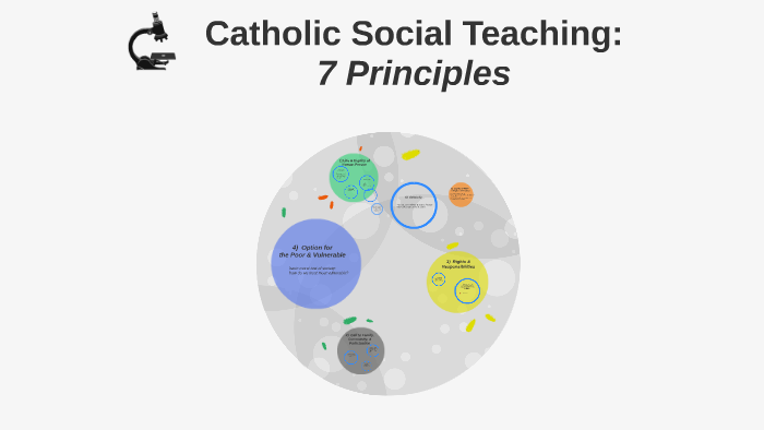 catholic-social-teaching-7-principles-by-susan-doyle