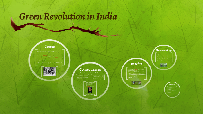 essay on green revolution in india